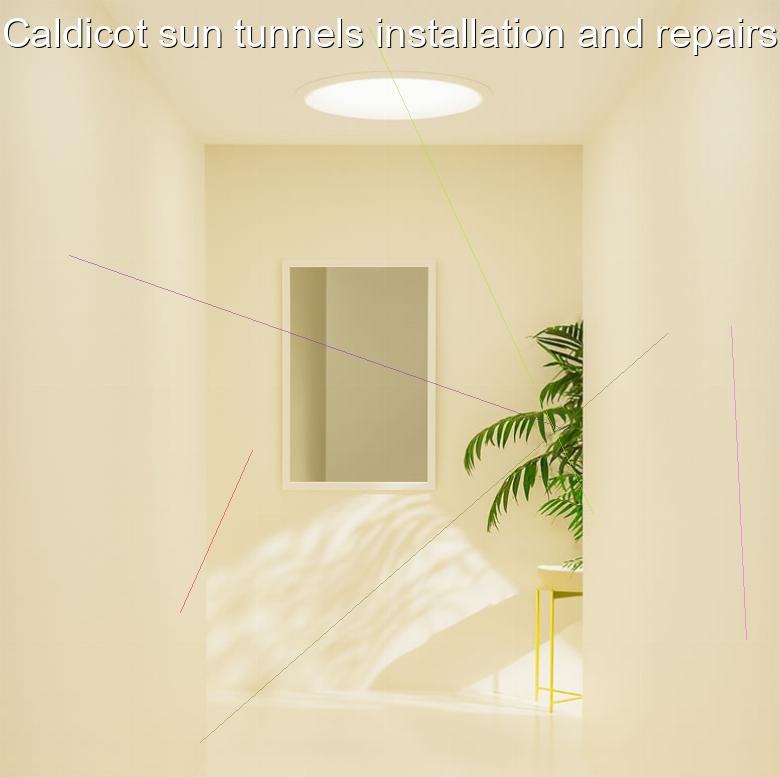 Caldicot sun tunnels installation and repairs