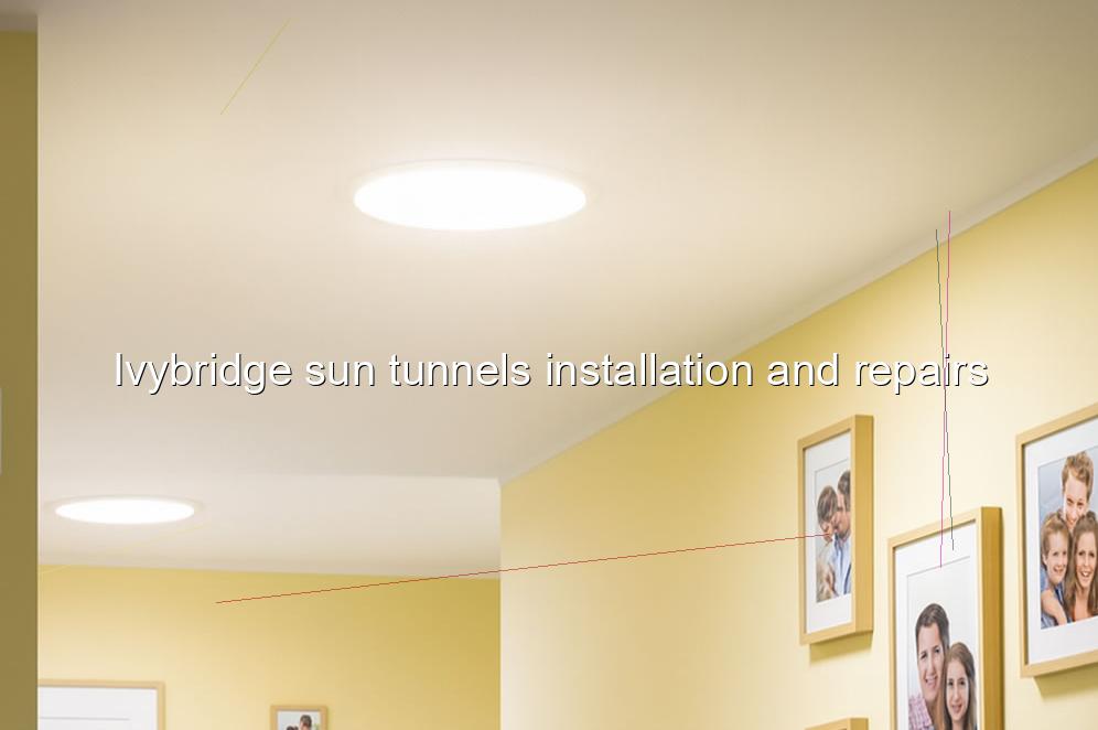 Ivybridge sun tunnels installation and repairs