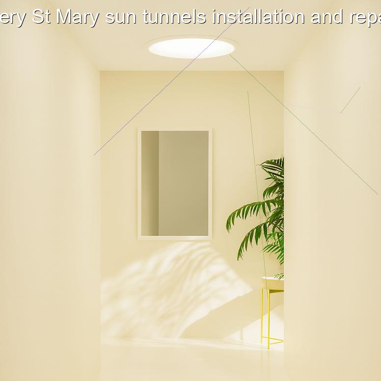 Ottery St Mary sun tunnels installation and repairs