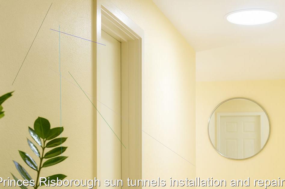Princes Risborough sun tunnels installation and repairs