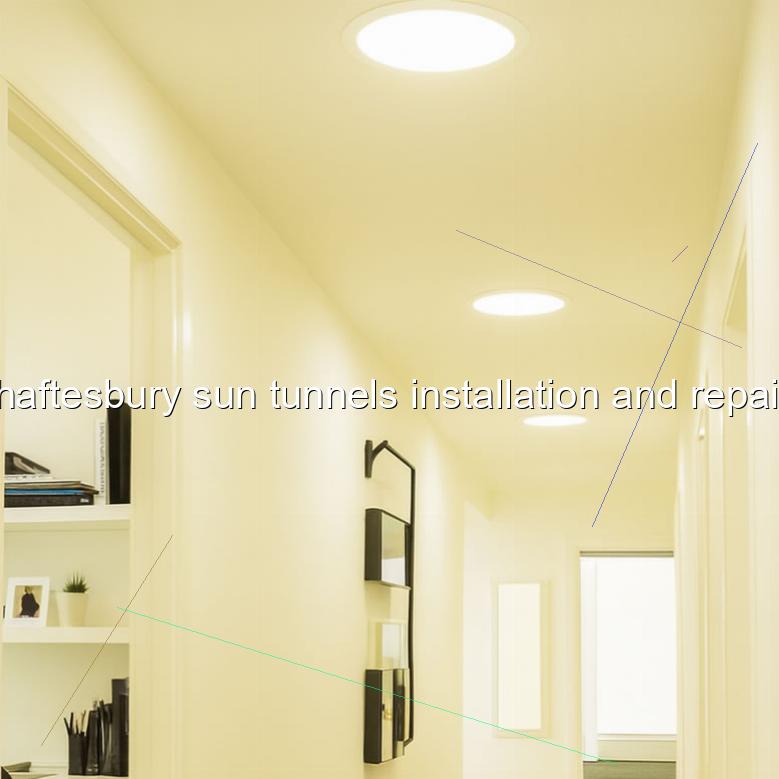 Shaftesbury sun tunnels installation and repairs